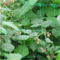 Green plastic trellis netting/green bird net